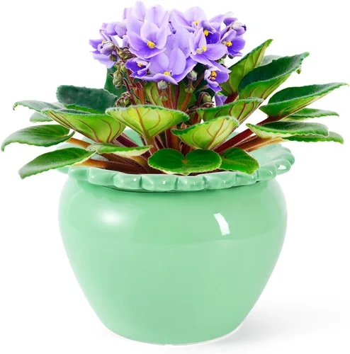 Vista 11 de Maceta para Flores Violeta Africana Verde de Cerámica con Riego Automático 6.5 * 4.6 * 4 pulgadas Maceta Simple para Plantas con Riego Automático