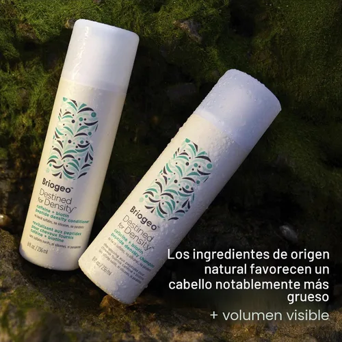 Vista 7 de Briogeo Destinado a la densidad de cafeína + acondicionador de densidad de péptidos de biotina Aumenta el grosor y el volumen del cabello