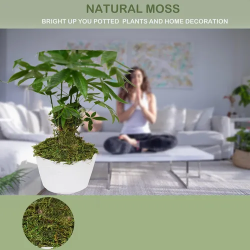 Vista 2 de Musgo falso de 19 onzas para plantas en maceta, musgo artificial para manualidades, musgo verde sintético para plantas falsas decorativas