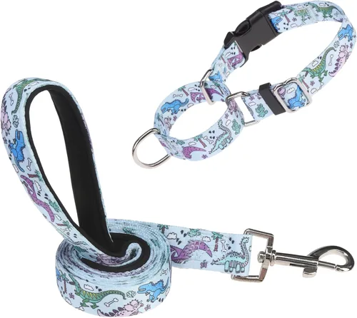 Vista 10 de Martingale - Juego de collar y correa para perro, para caminar, jugar, entrenar, collares reflectantes ajustables con correa para perros pequeños
