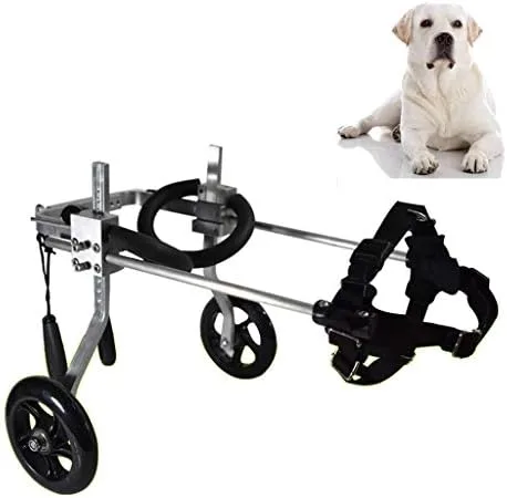 Vista 2 de Silla de ruedas ajustable para perros y patas traseras - Carrito de rehabilitación de mascotas para perros y gatos paralizados - Patinete de apoyo