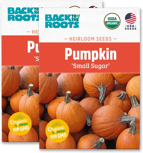 Vista 8 de Paquete de semillas - Calabaza 'Azúcar pequeño' 0.09 oz