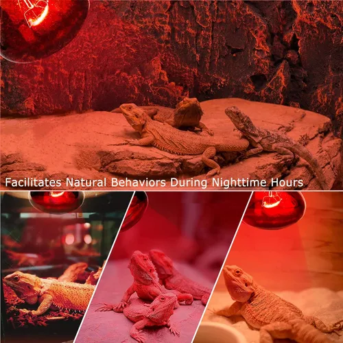 Vista 8 de Lámpara de calor roja infrarroja de 60 W para reptiles, bombilla para lagartos de mascotas, dragones barbudos, camaleones y serpientes, luz emisora