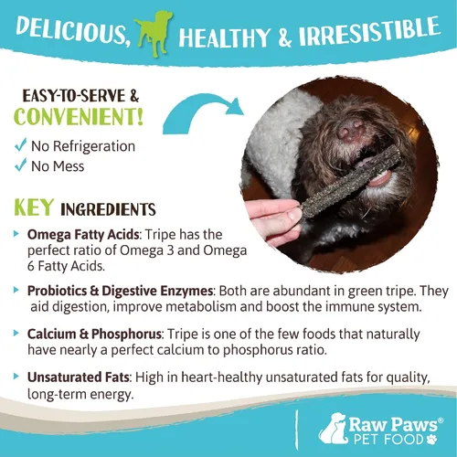 Vista 4 de Raw Paws Palitos de tripa de cordero verde para perros (10 unidades) – Un solo ingrediente, alimentado con pasto y corral libre – Golosinas