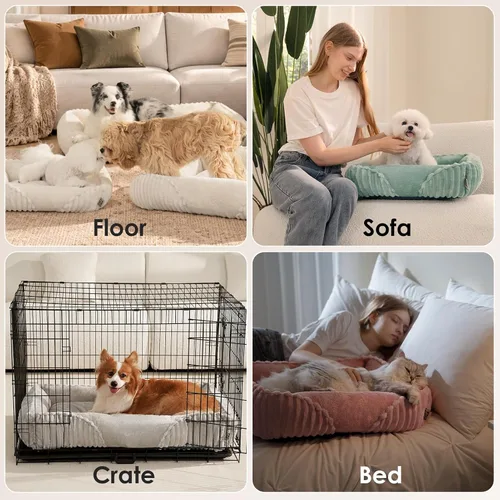 Vista 5 de EHEYCIGA Linda cama para perro de tamaño mediano, cama para mascotas de 30 Crema