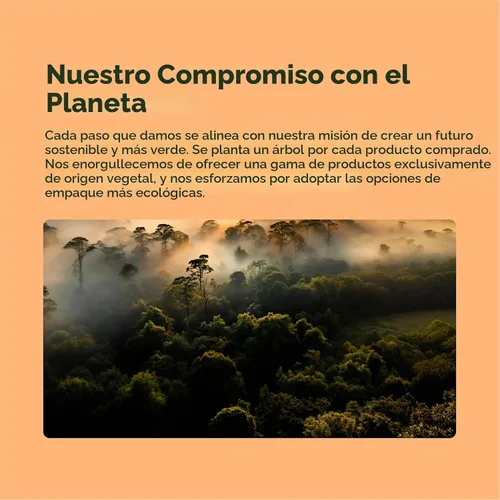 Vista 5 de sapling Suplemento vegano de vitamina D3 + K2 con aceite MCT de coco - 4000 UI de vitamina D y 100 mcg de vitamina K2 como Mk7 - Absorción