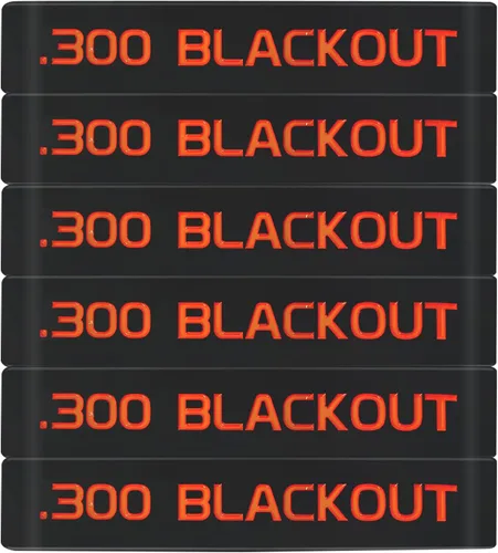 Vista 13 de Aolamegs Paquete de 6 bandas de marcado de cargador Blackout 300
