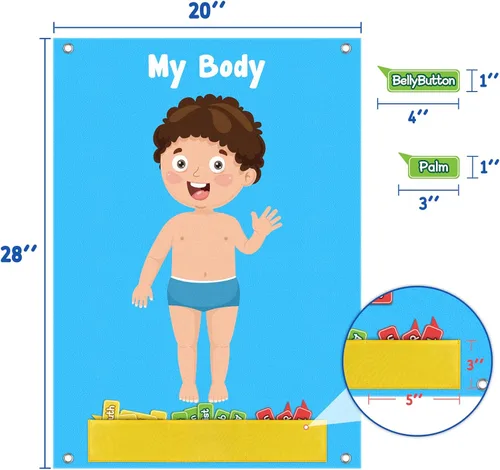 Vista 4 de AKAYOK 36 piezas de partes del cuerpo para niños, tablero de fieltro para niños pequeños, actividades de aprendizaje preescolar, cuerpo humano