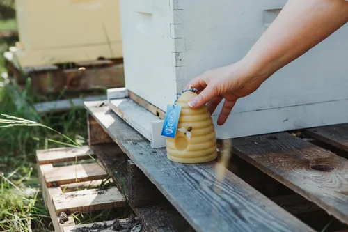 Vista 6 de The Beeswax Co. - Vela grande de cera de abejas de colmena – Perfumada a miel natural, de larga duración y ecológica, mecha de algodón, cera