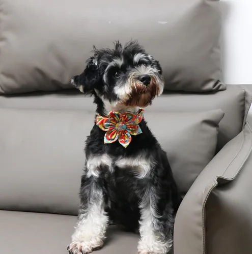 Vista 25 de Unique Style Paws Collar de perro de Halloween con lazo de algodón lindo pajarita para perros pequeños, medianos y grandes, vacaciones