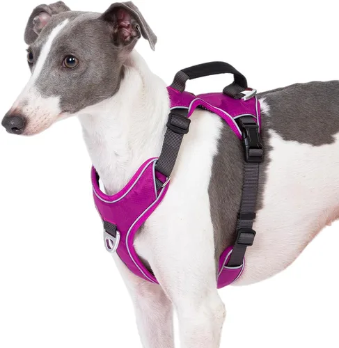 Vista 10 de Arnés para perro sin tirones con 2 clips para correa, chaleco reflectante, ajustable y acolchado, clips delanteros y traseros fáciles de caminar