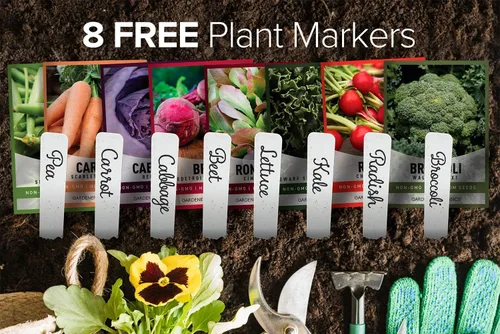 Vista 2 de Gardeners Basics Semillas de hortalizas de invierno, otoño y primavera para plantar Cultivos de clima fresco 8 variedades: guisantes de azúcar