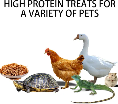 Vista 6 de I LOVE WORMS Gusanos secos (2.27 kg), alimento para pájaros silvestres, gusanos altos en proteínas para pájaros azules, pollos, patos, reptiles