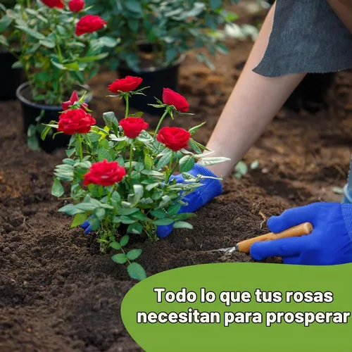 Vista 7 de Perfect Plants - Mezcla especial para plantar rosas Nutrientes prémium para rosas en flor como Drift, Knockout y reliquia (4 cuartos de galón)