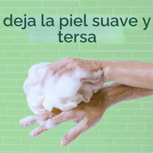 Vista 4 de Softsoap Jabón corporal de eucalipto y menta, gel de baño hidratante, 20 onzas, (paquete de 4)