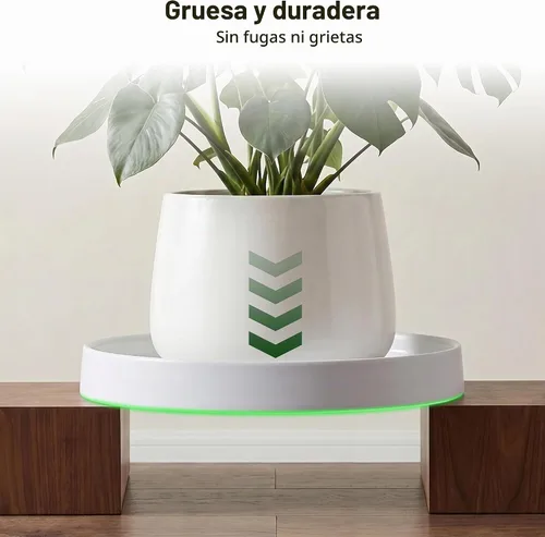Vista 7 de Platillo de cerámica para plantas de 12.5 pulgadas, 1 unidad, color blanco