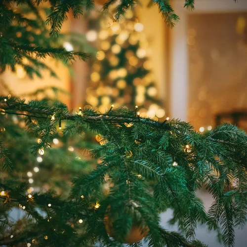 Vista 7 de XTF2015 Luces de Navidad LED de 105 pies con 300 LED, Enchufe de Extremo a Extremo, 8 Modos, Luces de Navidad Certificadas UL para Exteriores e