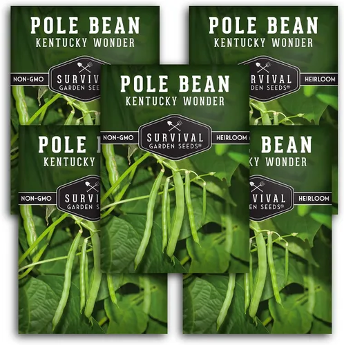 Vista 12 de Semilla de judía polera Kentucky Wonder para plantar - 1 paquete con instrucciones para plantar y cultivar judías verdes en tu jardín de hortalizas