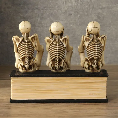 Vista 6 de Veronese Design Escultura de resina de 4 3/4 pulgadas de alto tres esqueletos sabios sentados en el libro No ver mal no escuchar mal no hablar mal