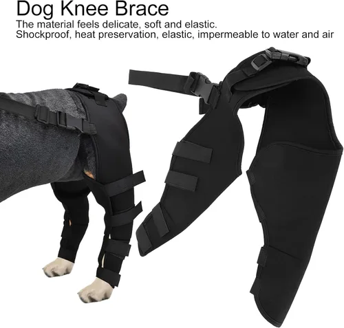 Vista 4 de Soporte de rodilla ajustable para perros, recuperación de piernas traseras y protección articular