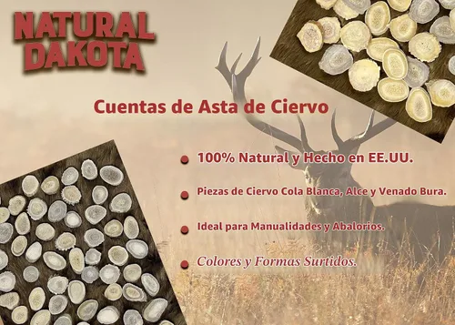 Vista 5 de Cuernas/rebanadas de cuernos de ciervo Dakota natural (manualidades, fabricación de joyas, suministros de reborde) (pequeño)