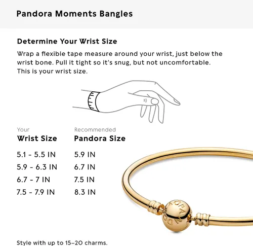 Vista 18 de Pandora Moments - Brazalete con cierre de bola para mujer, dijes compatibles con momentos, pulsera con dijes