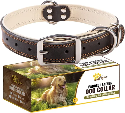 Vista 8 de ADITYNA Collar de perro de cuero negro resistente para perros pequeños, acolchado suave para mayor comodidad, collar de perro pequeño para caminar