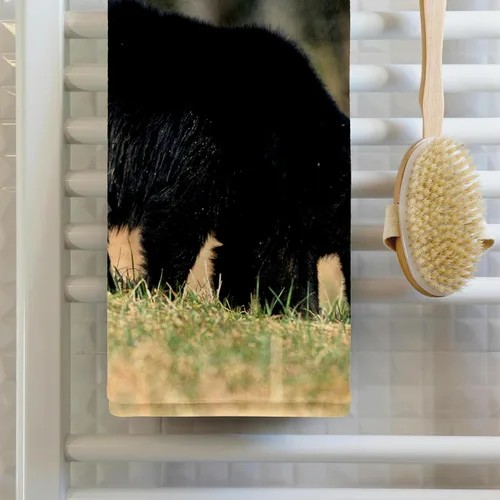 Vista 2 de 3dRose Black Bear Female with Two Cubs, Great Smoky Mountains National Park 22x30 Bath Hand Pool Towel
