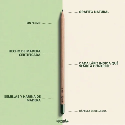 Vista 5 de Sprout Lápices de madera World Edición para profesores Lápices de madera plantables de grafito preafilados HB con semillas de flores, hierbas