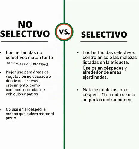 Vista 7 de Spectracide Weed Stop para césped + concentrado matador de pasto de cangrejo, 32 onzas, paquete de 6