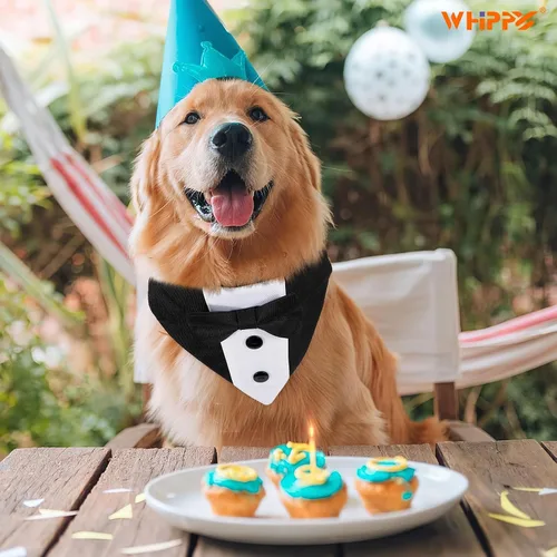 Vista 5 de Collar tipo bandana de esmoquin con pajarita para mascotas, disfraz formal de boda, disfraz formal de compromiso, cumpleaños, traje de mascotas