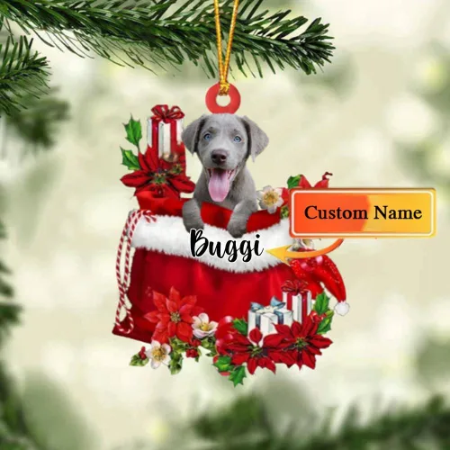 Vista 99 de Perro Akita Inu personalizado en bolsa de regalo, adorno de Navidad, nombre personalizado, regalo para amantes de los perros, familia, Navidad