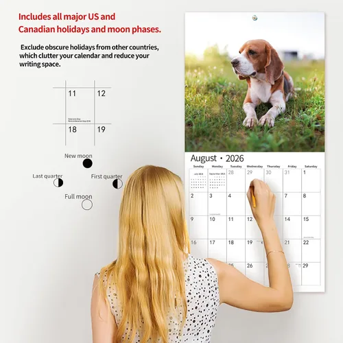Vista 5 de Calendario de Pared 2026, Calendario 2026, noviembre de 2025 a diciembre de 2026, Calendario de Pared Beagles, 12" x 24" abierto, página completa