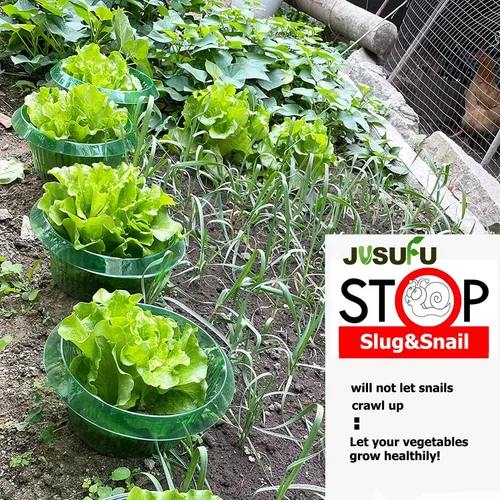 Vista 5 de Collares de babosas para plantas, collar de babosa para proteger las plantas de caracoles y babosas 6 piezas