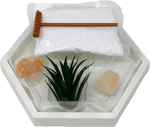 Vista 5 de Kit de jardín zen mini de Nature's Mark para escritorio con arena blanca, rastrillo, base blanca, roca de sal y planta aérea (hexágono)
