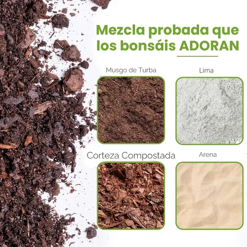 Vista 2 de Tierra para bonsái de Perfect Plants - 2qts. Mezcla premium multiusos para variedades de árboles bonsái