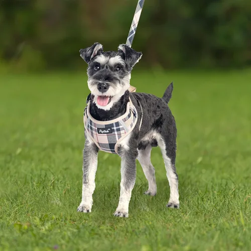 Vista 7 de PUPTECK Juego de arnés y correa para perro pequeño, arnés ajustable sin tirones para cachorro, chaleco de malla suave reflectante para mascotas