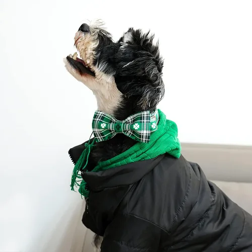 Vista 128 de Lionet Paws Collar de perro de Halloween con corbatín, bonito collar de algodón ajustable con hebilla de metal para perros pequeños, medianos y A
