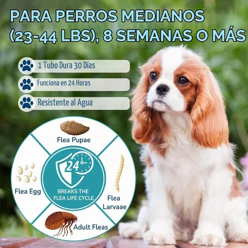 Vista 4 de Prevención de pulgas y garrapatas para perros medianos