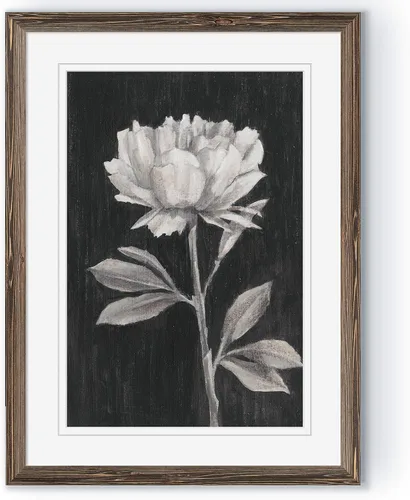 Vista 30 de Renditions Gallery- Lienzo enmarcado con flores blancas y negras Flores blancas y negras 1 juego/marco negro