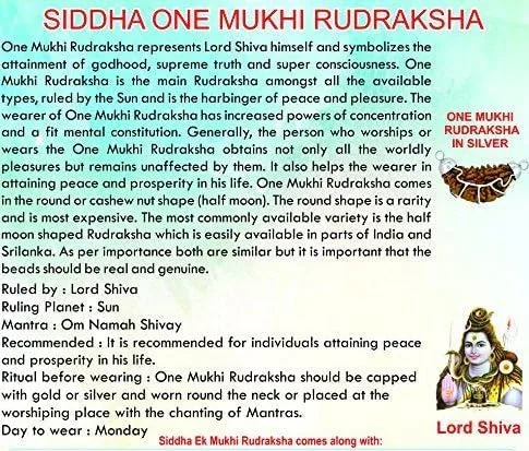 Vista 5 de 55Carat Elige tu colgante original certificado en laboratorio Rudraksha 1 a 13 Mukhi Ganesha Gauri Shankar chapado en plata, joyería astrológica