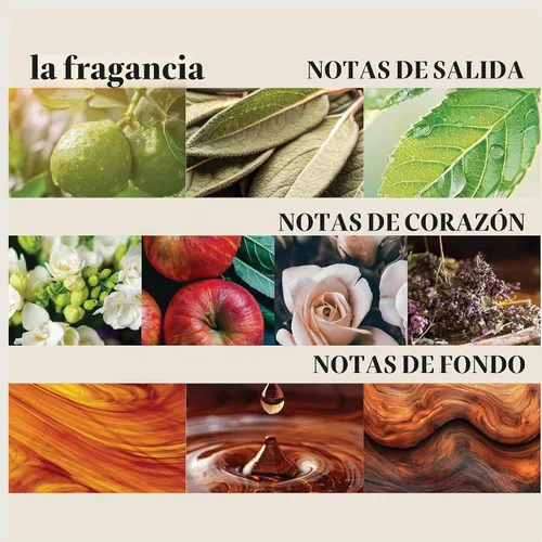Vista 7 de L'ANZA Pasta de aire de estilo curativo con fuerte efecto de sujeción, nutre y refresca el cabello mientras se peina, con complejo de cactus
