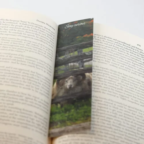 Vista 2 de Curious Sheep Bookmark, Original Photography, Book Lovers, Student, Teacher Gift, Set of 1