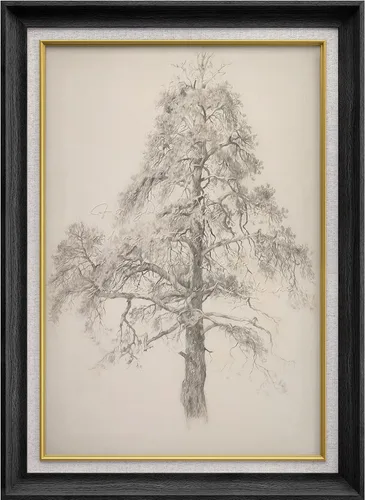 Vista 304 de MUDECOR Lienzo enmarcado prémium para pared, pinos nevados en bosque de invierno, ilustraciones modernas, arte contemporáneo, escénico, divertido