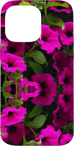 Vista 21 de iPhone 16 Purple Petunia Floral Cool Garden Plant Flower Gardener Gift Case