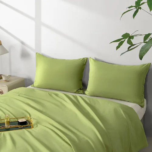 Vista 27 de Paquete de 2 fundas de almohada de microfibra tamaño estándar con cremallera, fundas de almohada color beige, suaves y cómodas, no se encogen Beige