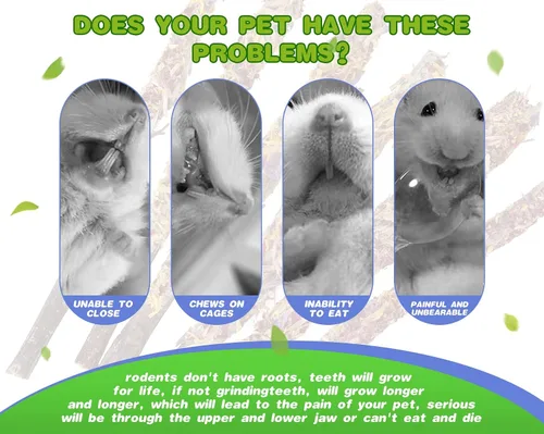 Vista 2 de Abizoo Juguetes masticables de conejito para conejos, 18 palitos de madera de manzana natural con pétalos, buenos para chinchillas, cobayas