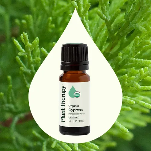 Vista 3 de Plant Therapy Aceite esencial de ciprés orgánico 10 mL (1/3 oz), 100% puro, sin diluir, aromaterapia natural para aliviar la congestión y piel clara
