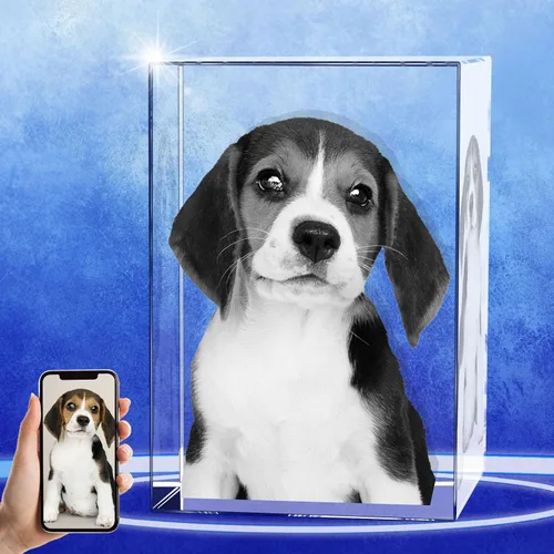 Vista 10 de Regalos conmemorativos personalizados para mascotas, marco de fotos de cristal 3D de perros o gatos, marco de fotos grabado con láser personalizado