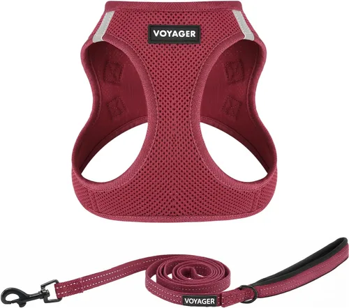 Vista 34 de Arnés de malla Voyager Step-in Air para todo clima y correa reflectante para perro de 5 pies, combo con mango de neopreno, para cachorros de razas